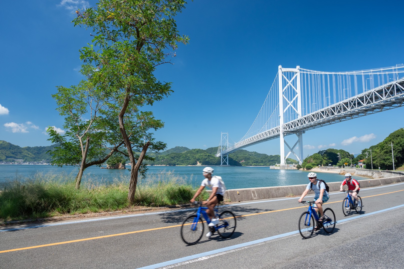広い土間に置かれた自転車